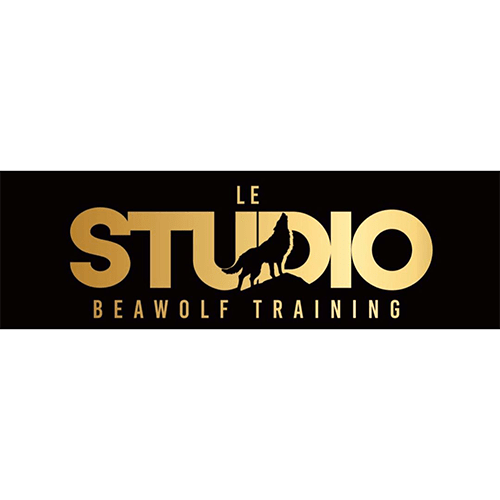 Le Studio - Beawolf Training by Stéphane Ossanga