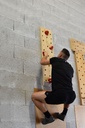 Peg Board 2.0 - Prises Escalade Training et gymnastique