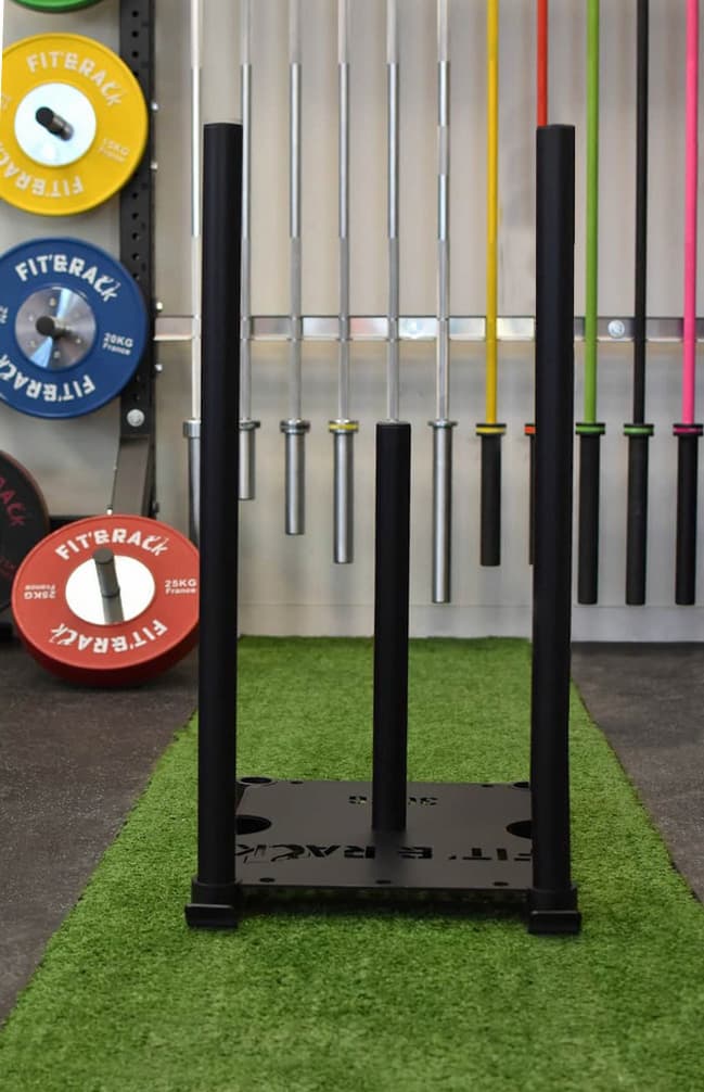 Dog sled - Traineau de puissance lestable