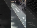 Piste en gazon synthétique CrossFit Des Monts