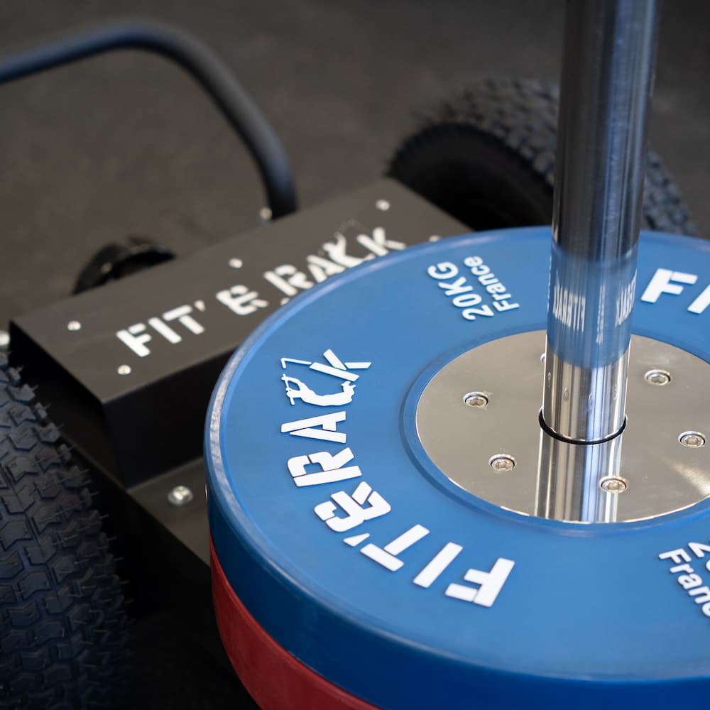 Power Sled - Dog Sled