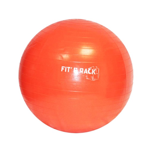 [GYB-055] Gym Ball - Ballon de Gym (S - 55CM)