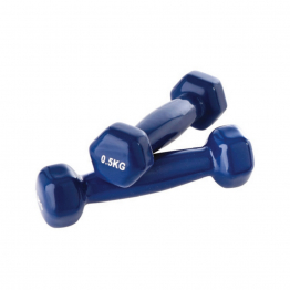 [FI0503] Mini haltères - Dumbbell - 0,5 &amp; 1 KG - LA PAIRE (0,5KG)