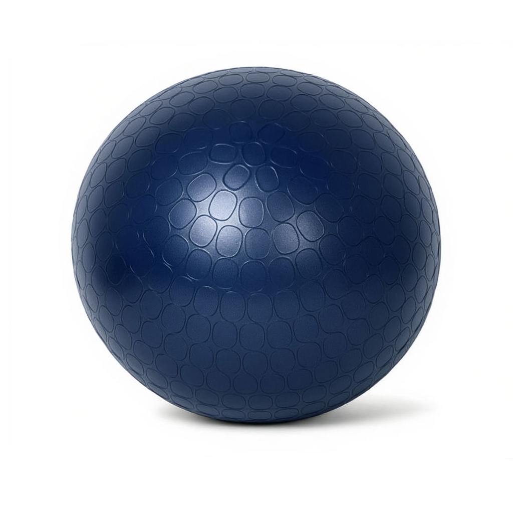 Gym Ball - Ballon de Gym 2.0