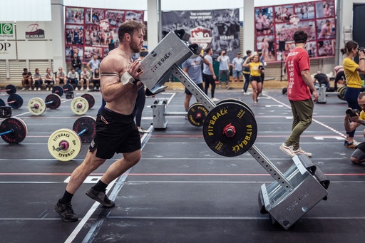 [PIG-001] FLIP PIG - Reconditionné