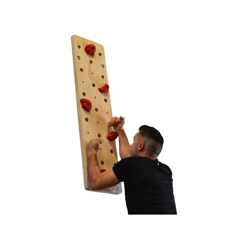 [PEG-003] Peg Board 2.0 (kit de prises d'escalade incluses)